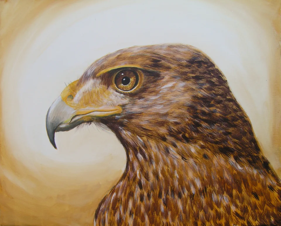 Greifvogel - Eckhard Kowalke