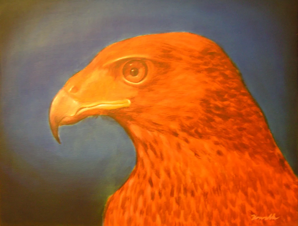 Greifvogel in Orange - Eckhard Kowalke